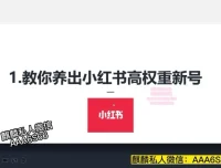 小红书高权重账号养成与精准引流秘籍课程
