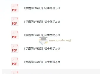 绿卡图书《初中学霸同步笔记》（全九科）
