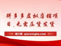 拼多多虚拟店铺项目：小白0基础起步，半月实现日入200+的自动化电商玩法