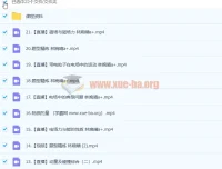 2023高考物理林婉晴a+全年班：一轮复习暑假班与秋季班（更新21讲）