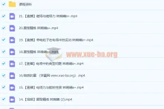 2023高考物理林婉晴a+全年班：一轮复习暑假班与秋季班（更新21讲）