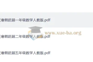 《少年素质教育报：小学数学14天寒假赶超》（PDF）