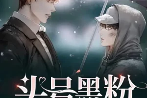 有声小说《头号黑粉》：纯爱都市多人有声剧（252集完结）