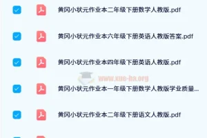 2024春 黄冈小状元作业本（人教版）