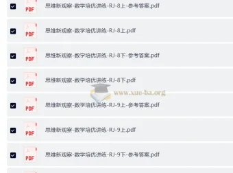 《初中数学培优讲练资料》