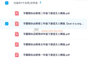小学语文人教版 学霸期末必刷卷（全26册）
