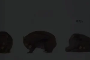 小奇绘本故事大全：经典儿童绘本资源合集