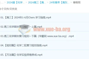 2024高三高考化学：高东辉化学二轮寒假班
