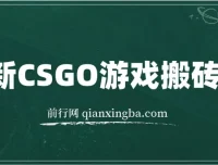 最新CSGO游戏搬砖项目：小白零基础月入过万（附教程+软件）