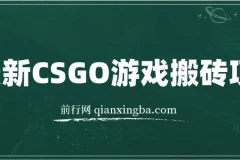 最新CSGO游戏搬砖项目：小白零基础月入过万（附教程+软件）