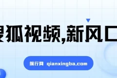 搜狐视频视频收益项目：新风口下的收益机遇