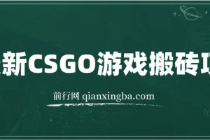 最新CSGO游戏搬砖项目：小白零基础月入过万（附教程+软件）