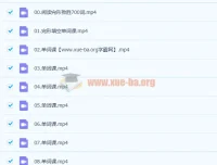 付炫屿《10小时突破高考单词》课程