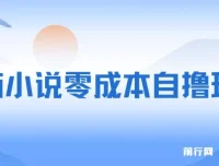 番茄小说零成本半自动自撸玩法：低播放量亦可获利