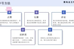 抖音王者荣耀游戏变现副业兼职：一条龙实操课程