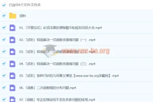 2024高三高考数学树栋全程班：助力高考数学提升