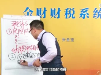 张金宝《财税系统实战》2集精华版