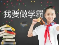 2024春小学学霸专题系列资料包