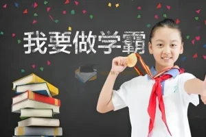 2024春小学学霸专题系列资料包