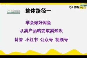 闲鱼无货源电商实战课程：零基础到月入1.5万
