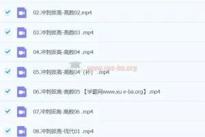 2024东方考研数学密训押题班：冲刺拔高课程
