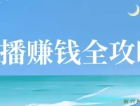 直播赚钱全攻略：从入门到精通课程