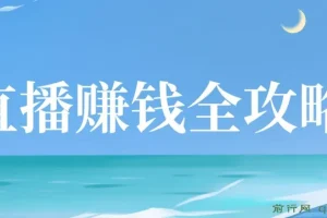 直播赚钱全攻略：从入门到精通课程