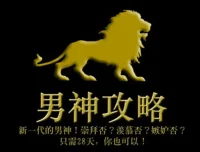《男神攻略：只需28天，你也可以》（帕特里克·金 著）