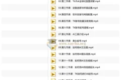 2026 TikTok跨境AI实操课程