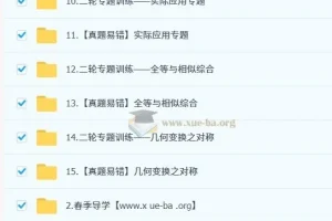 2025朱韬初三数学中考培训班（春上·人教版·A+）