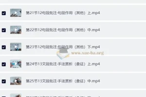 语文五哥：小学文学素养批注家长必修课