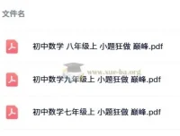 《小题狂做 巅峰版：苏科版7 – 9年级上册数学练习资料》