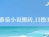 最新番茄小说搬砖项目：全自动操作，日收益可达300＋