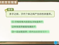 洋葱学院小学科学3-6年级动画精品课程