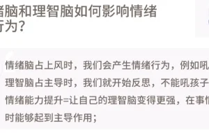情绪管理集训营：提升情绪控制力的自我帮助资源