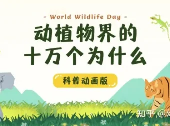 学而思KIDS学堂《动植物界的十万个为什么》科普动画