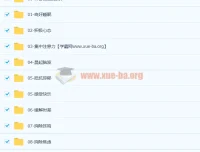 完结1000首阿尔法A脑波功能音乐