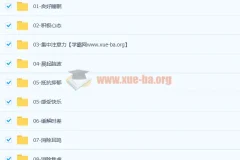 完结1000首阿尔法A脑波功能音乐
