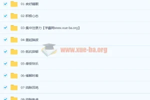 完结1000首阿尔法A脑波功能音乐