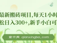 最新0门槛搬砖项目：适合新手小白的轻松赚钱方案