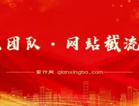 暴疯团队·网站截流项目分享