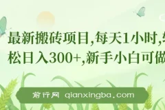 最新0门槛搬砖项目：新手小白轻松上手，日入300+