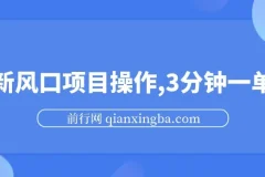 最新短剧推广风口项目操作，3分钟一单，零成本易上手