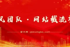 暴疯团队·网站截流项目分享