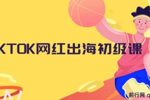 TIKTOK网红出海初级课程：开启海外流量密码