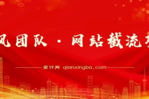 暴疯团队·网站截流项目分享