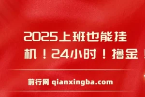 2025年广告掘金零撸小项目：抖音快手双端直播，快手48小时纯挂机撸金