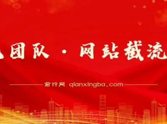 暴疯团队·网站截流项目分享