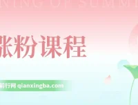 涨粉课程：覆盖抖音快手公众号，小白可上手，助力日入500+