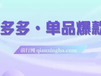 拼多多单品爆款班：5节直播课打造超级爆款（2023版）